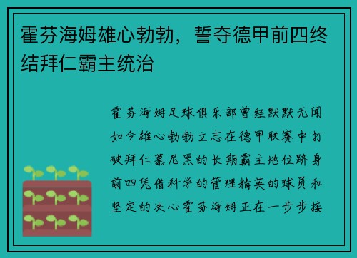 霍芬海姆雄心勃勃，誓夺德甲前四终结拜仁霸主统治